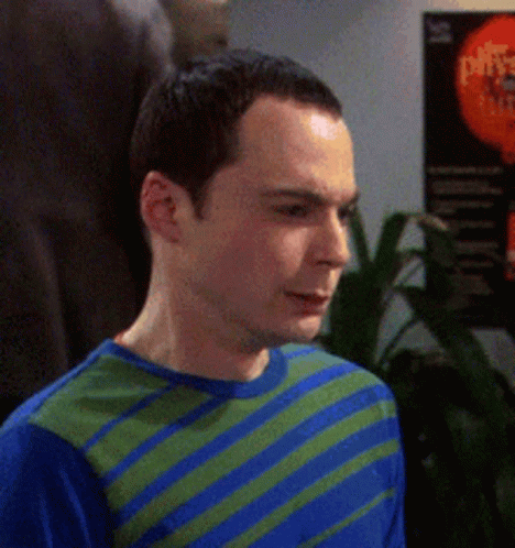 Sheldoncooper Sheldon GIF