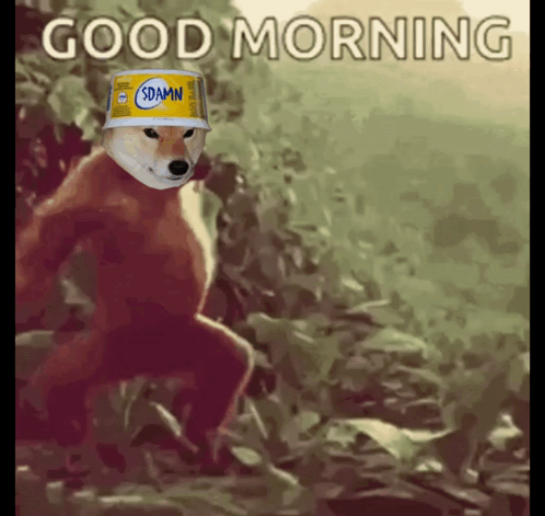 Shib Shibarium GIF