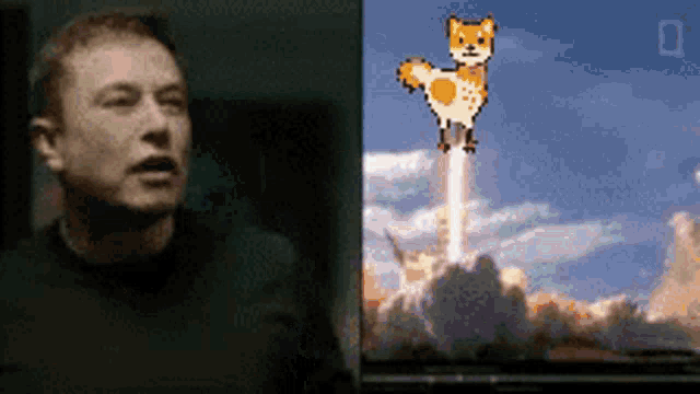 Shiba Shiba Cock GIF