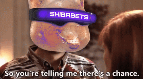 Shibabets Shibabetsmemes GIF. This 498 x 278 animated GIF is part of our so youre telling me theres a chance collection. Related themes include dumb and…