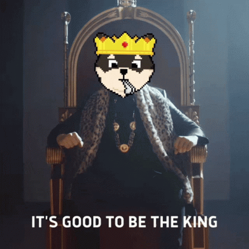 Shiboshis Shiba GIF. This 498 x 498 animated GIF is part of our its good to be the king collection. Created by BonZaYi. View the original animation, share…