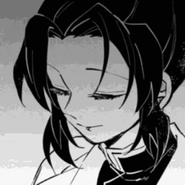 Shinobu Kocho Mitsuri Kanroji GIF