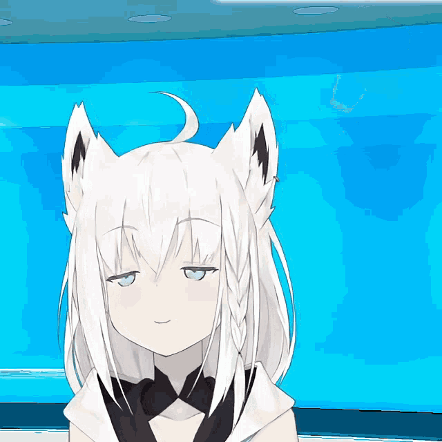 Shirakami Fubuki Idea GIF