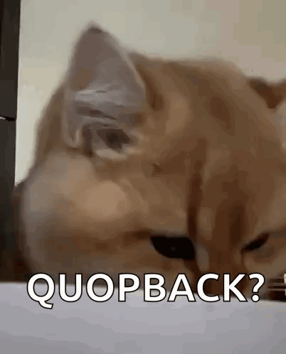 Shock Shocked GIF