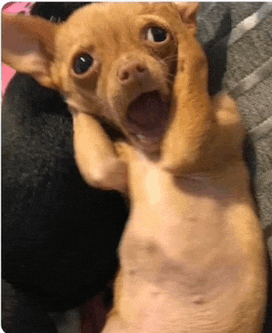 Shocked Shocked Face Meme