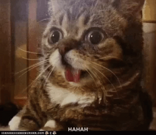 Shocked Surprised GIF
