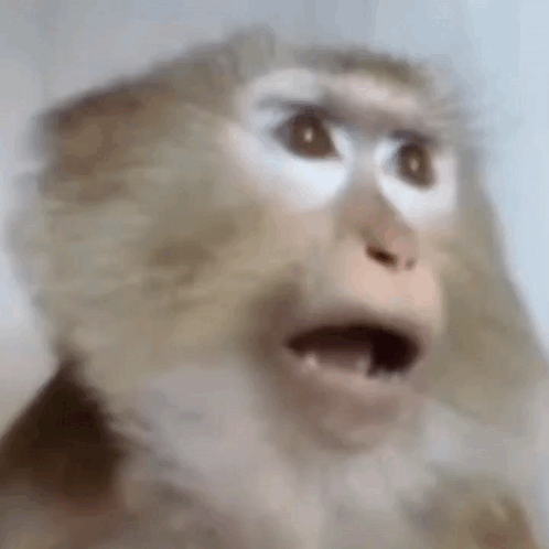 Shocked Zonegif GIF