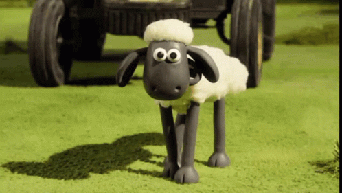 Shocked Zooming In GIF