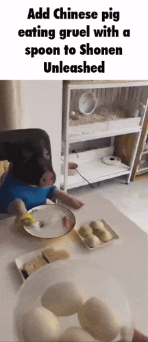 Shonen Unleashed Pig GIF