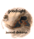 Shordhe Kitty Sticker
