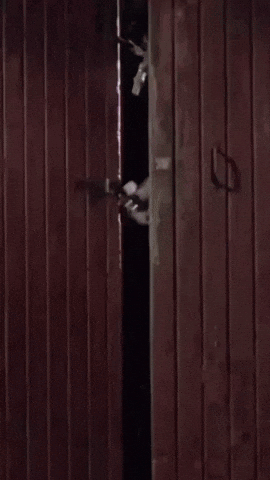 Short Circuit Short Circuit 2 GIF