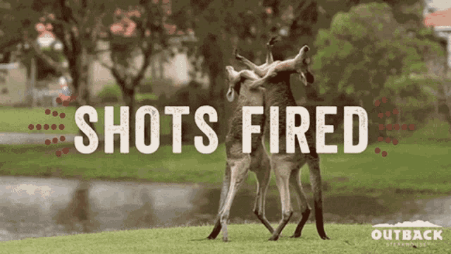 Shots Fired Fighting GIF