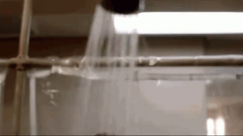 Shower Bathe GIF