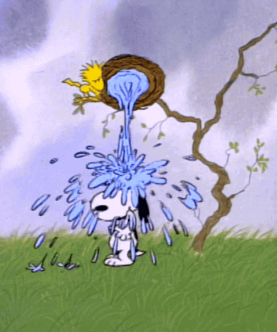 Shower Cold Shower GIF