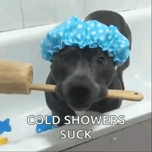 Shower Dogs GIF