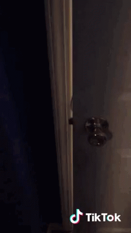 Shrek Air Horn GIF. This 270 x 480 animated GIF is part of our mlg air horn collection. Related themes include mad, shrek. Created by Zamps. View the…