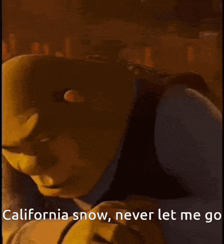 Shrek Black Album GIF