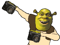 Shrek Dab Sticker