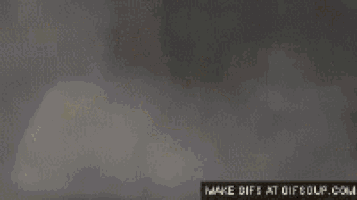 Shrek Dancing GIF