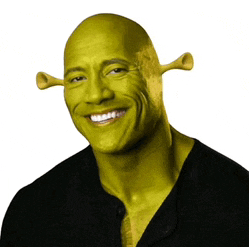 Shrek Face Shrek Meme Meme