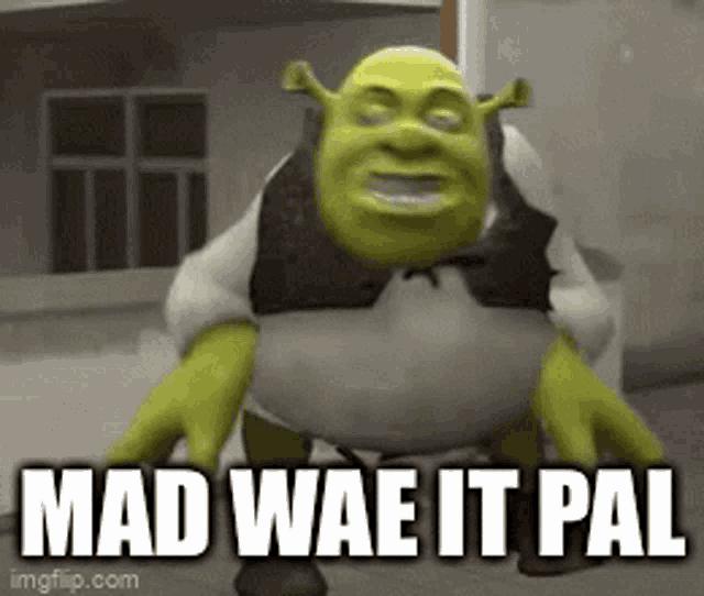 Shrek Mad Wae It Pal GIF