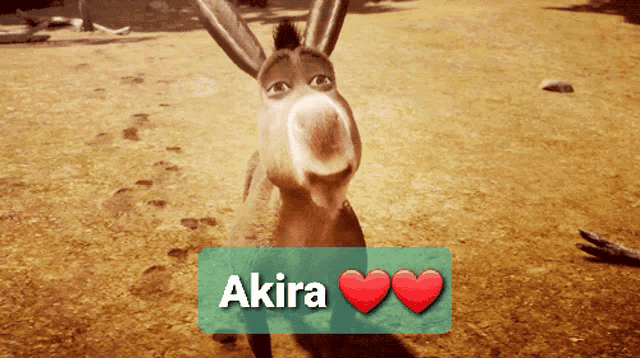 Shrek Meme Shrek GIF