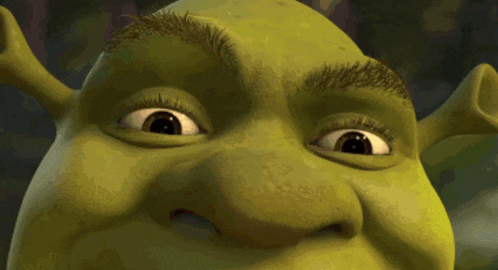 Shrek Oh No GIF