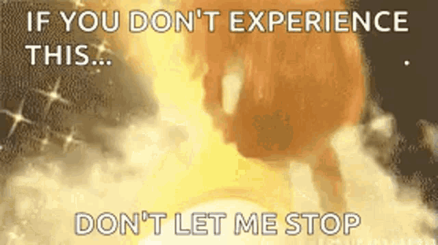 Shrek Princess Fiona GIF