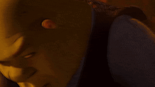 Shrek Shrek Look Up GIF
