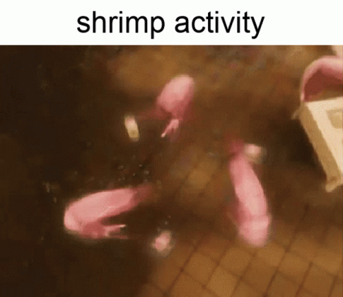 Shrimp Activity GIF