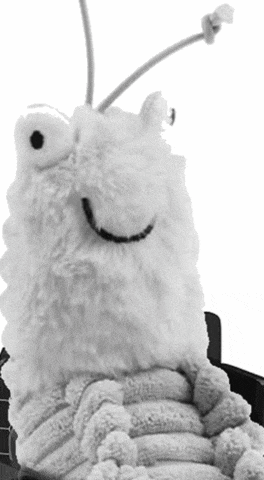 Shrimp Douglas GIF