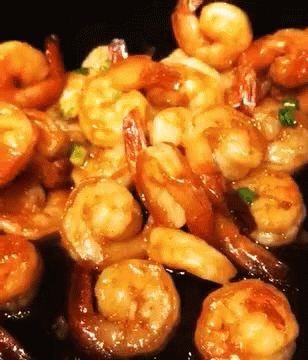 Shrimp Food GIF