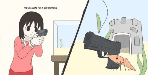 Shrimp Meme