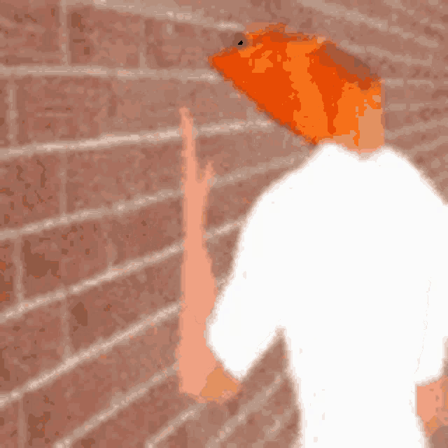 Shrimp GIF