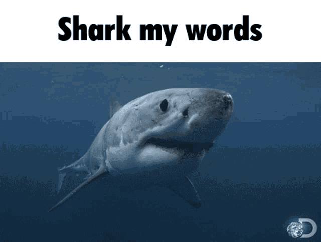 Shrimple Pun GIF