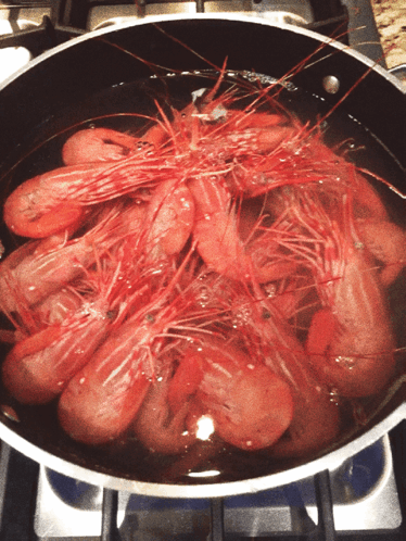 Shrimps Food GIF