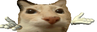Shrug Cat Sticker