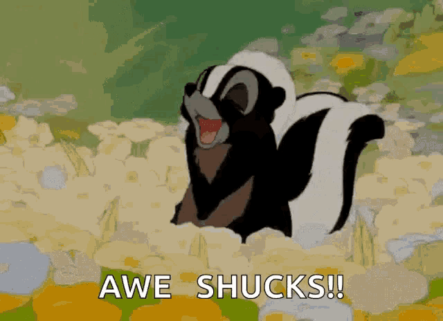 Shucks Disney GIF