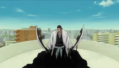 Shunsui Bleach GIF
