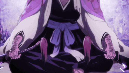 Shunsui Kyōraku Bankai GIF