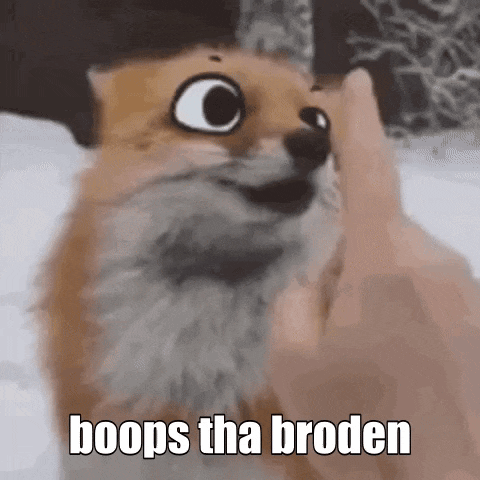 Shut Paw GIF