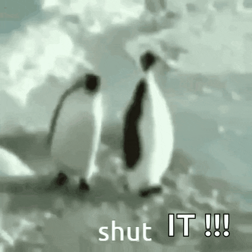 Shut Shut Up GIF
