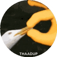 Shut Up GIF