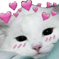 Shy Love Sticker