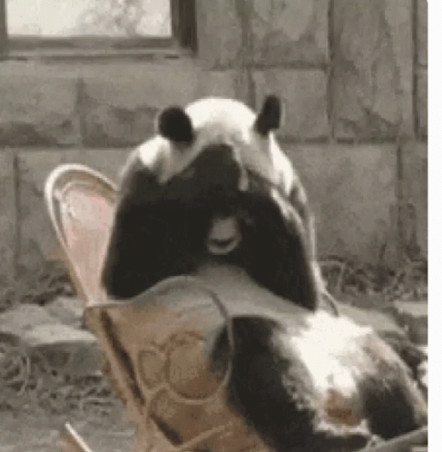 Shy Sad GIF
