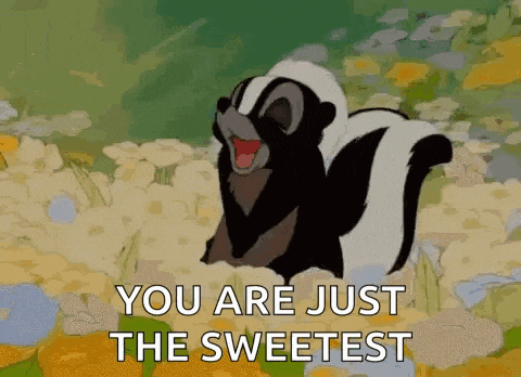 Shy Skunk GIF