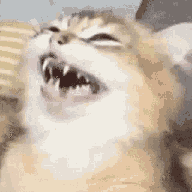 Sia GIF