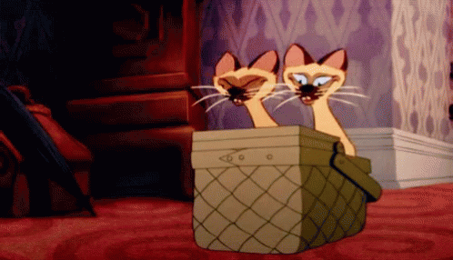 Siamese Cats GIF. This 498 x 286 animated GIF is part of our lady and the tramp siamese cats collection. Related themes include disney. Created by…