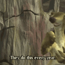 Sid The Sloth They Do This Every Year GIF