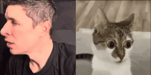 Sidney Crosby Big Eyes Stare At The Camera GIF. This 498 x 250 animated GIF is part of our incredulous collection. Related themes include shock. Created by…